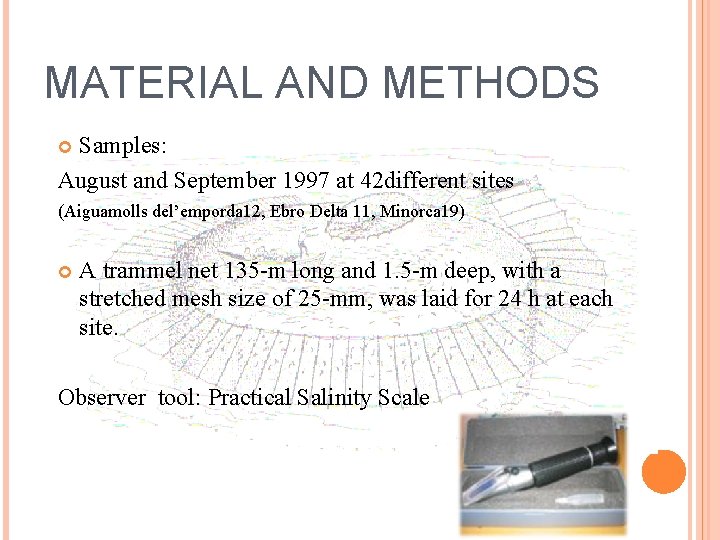 MATERIAL AND METHODS Samples: August and September 1997 at 42 different sites (Aiguamolls del’emporda