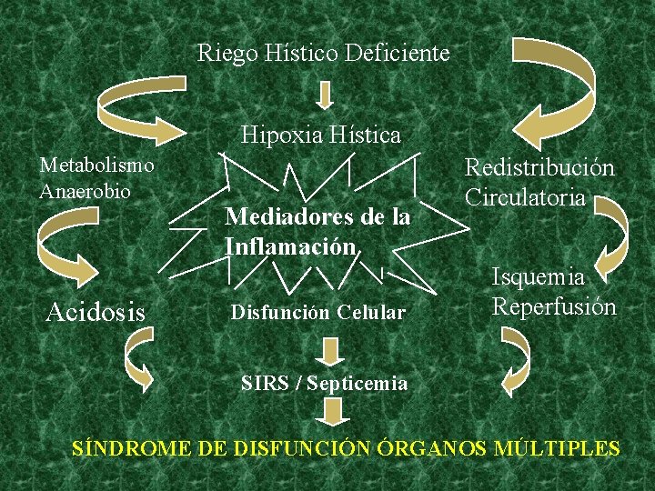 Riego Hístico Deficiente Hipoxia Hística Metabolismo Anaerobio Acidosis Mediadores de la Inflamación Disfunción Celular Riego Hístico Deficiente Hipoxia Hística Metabolismo Anaerobio Acidosis Mediadores de la Inflamación Disfunción Celular