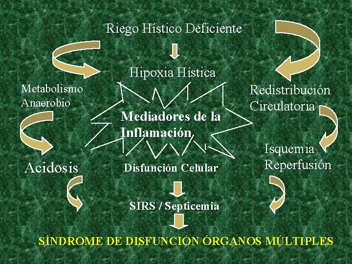 Riego Hístico Deficiente Hipoxia Hística Metabolismo Anaerobio Acidosis Mediadores de la Inflamación Disfunción Celular