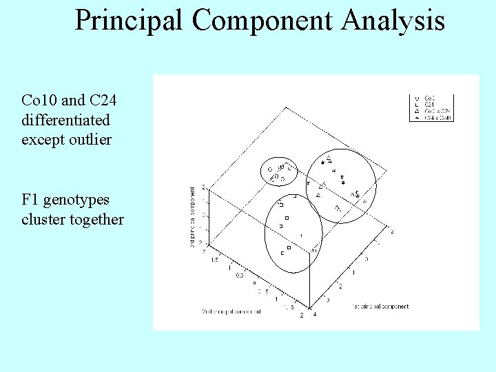 Principal Component Analysis Co 10 and C 24 differentiated except outlier F 1 genotypes