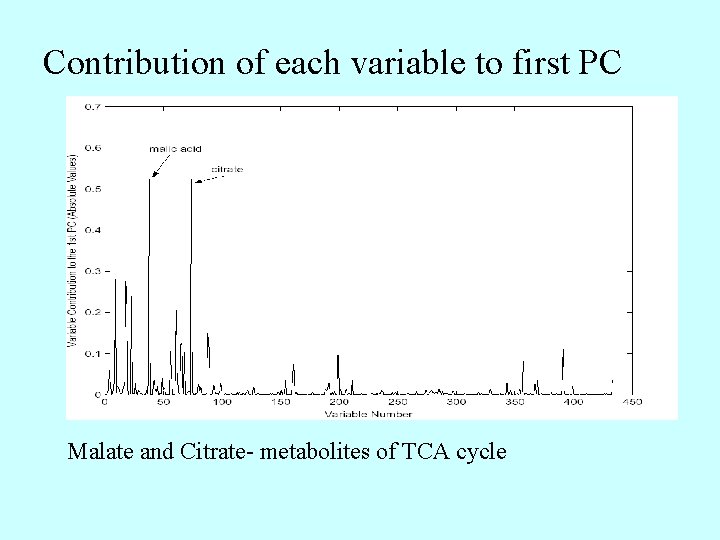 Contribution of each variable to first PC Malate and Citrate- metabolites of TCA cycle