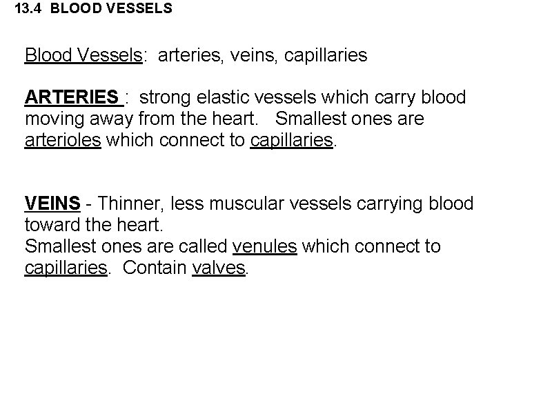 13. 4 BLOOD VESSELS Blood Vessels: arteries, veins, capillaries ARTERIES : strong elastic vessels