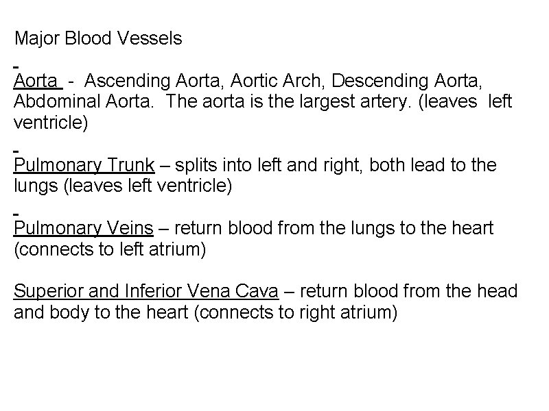 Major Blood Vessels Aorta - Ascending Aorta, Aortic Arch, Descending Aorta, Abdominal Aorta. The