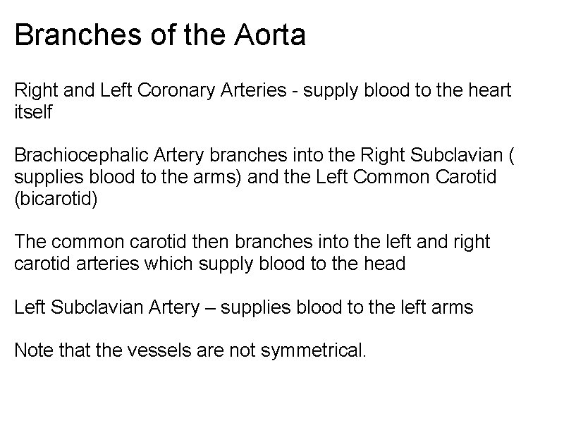 Branches of the Aorta Right and Left Coronary Arteries - supply blood to the