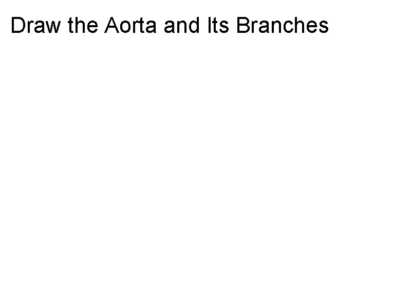 Draw the Aorta and Its Branches 