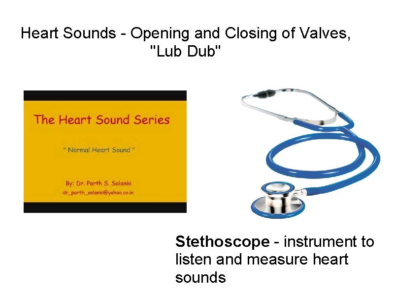 Heart Sounds - Opening and Closing of Valves, "Lub Dub" Stethoscope - instrument to