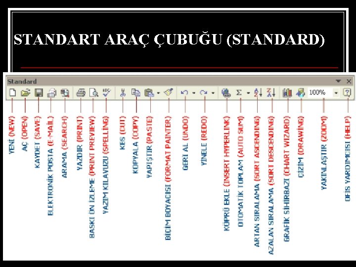 STANDART ARAÇ ÇUBUĞU (STANDARD) 8 