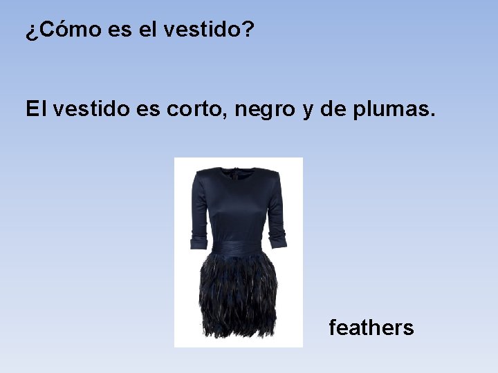 ¿Cómo es el vestido? El vestido es corto, negro y de plumas. feathers 