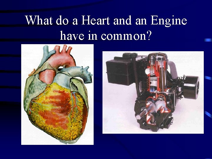 What do a Heart and an Engine have in common? 