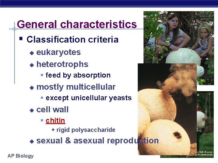 General characteristics § Classification criteria eukaryotes u heterotrophs u § feed by absorption u General characteristics § Classification criteria eukaryotes u heterotrophs u § feed by absorption u
