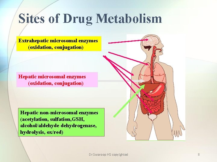 Sites of Drug Metabolism Extrahepatic microsomal enzymes (oxidation, conjugation) Hepatic non-microsomal enzymes (acetylation, sulfation,