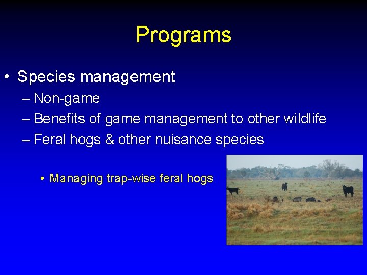 Programs • Species management – Non-game – Benefits of game management to other wildlife