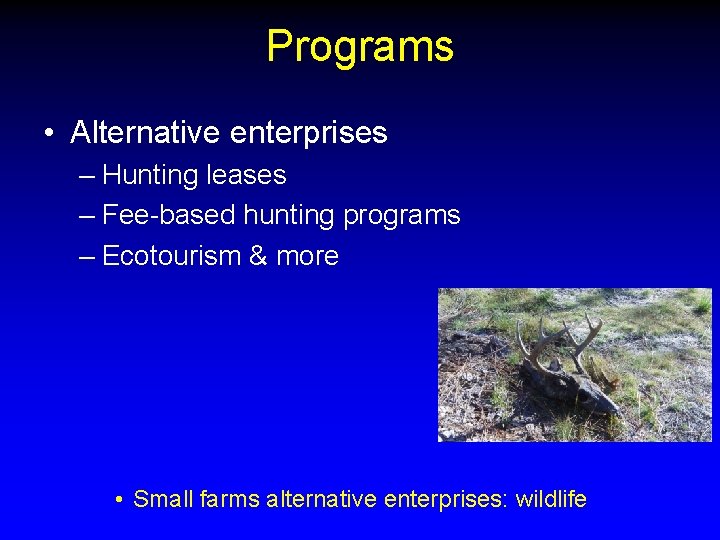 Programs • Alternative enterprises – Hunting leases – Fee-based hunting programs – Ecotourism &