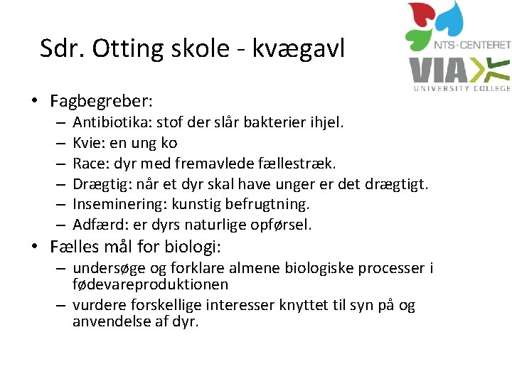 Sdr. Otting skole - kvægavl • Fagbegreber: – – – Antibiotika: stof der slår