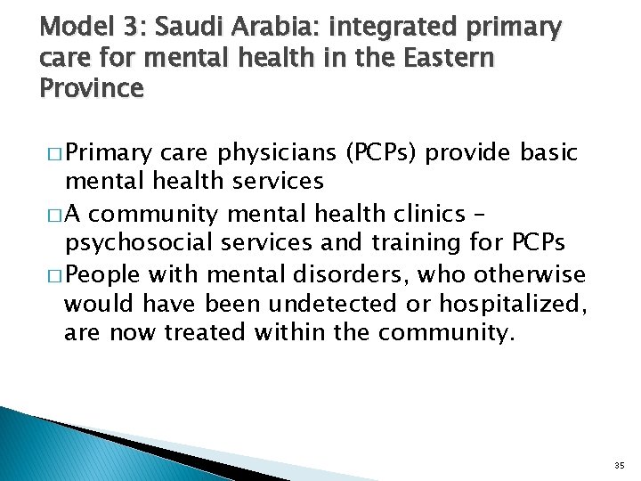 Model 3: Saudi Arabia: integrated primary care for mental health in the Eastern Province