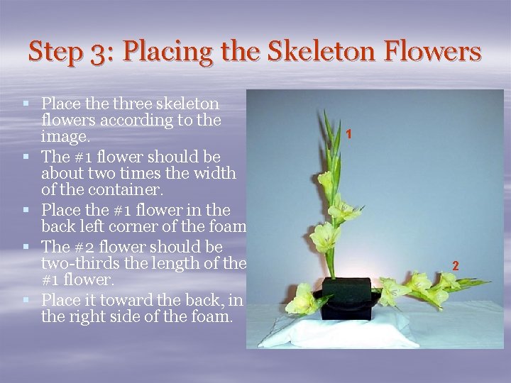 Step 3: Placing the Skeleton Flowers § Place three skeleton flowers according to the