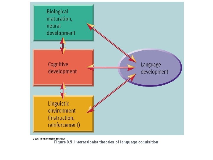 Figure 8. 5 Interactionist theories of language acquisition 