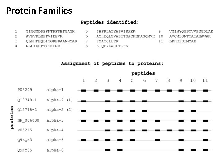 Protein Families 