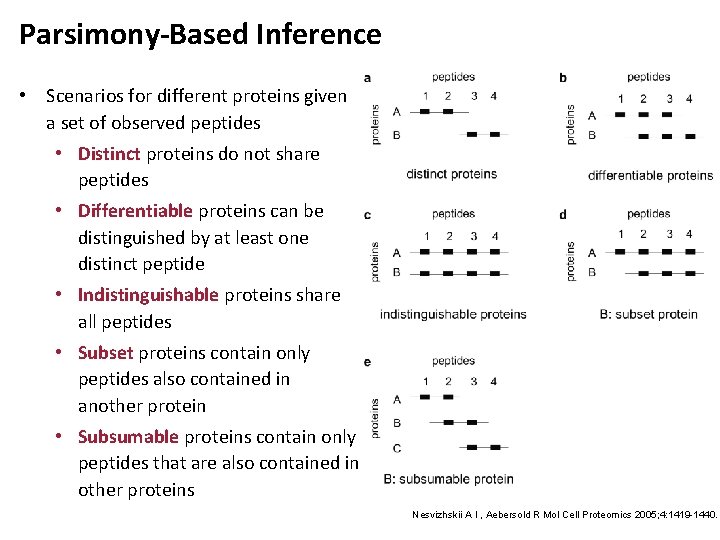 Parsimony-Based Inference • Scenarios for different proteins given a set of observed peptides •