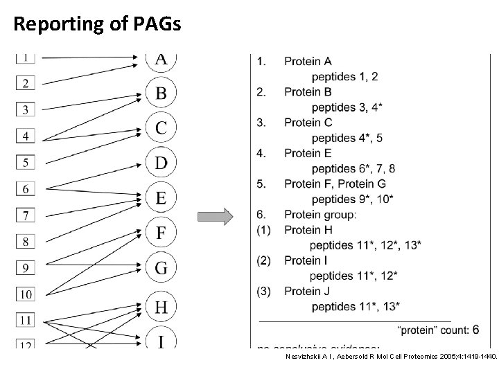 Reporting of PAGs Nesvizhskii A I , Aebersold R Mol Cell Proteomics 2005; 4: