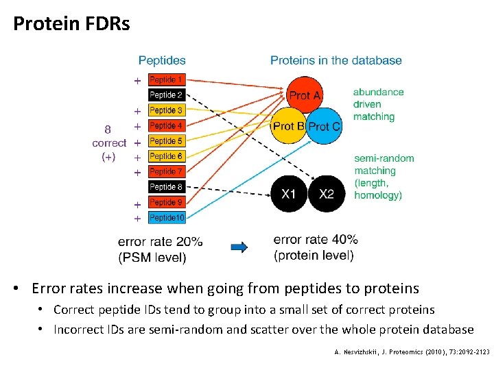 Protein FDRs • Error rates increase when going from peptides to proteins • Correct