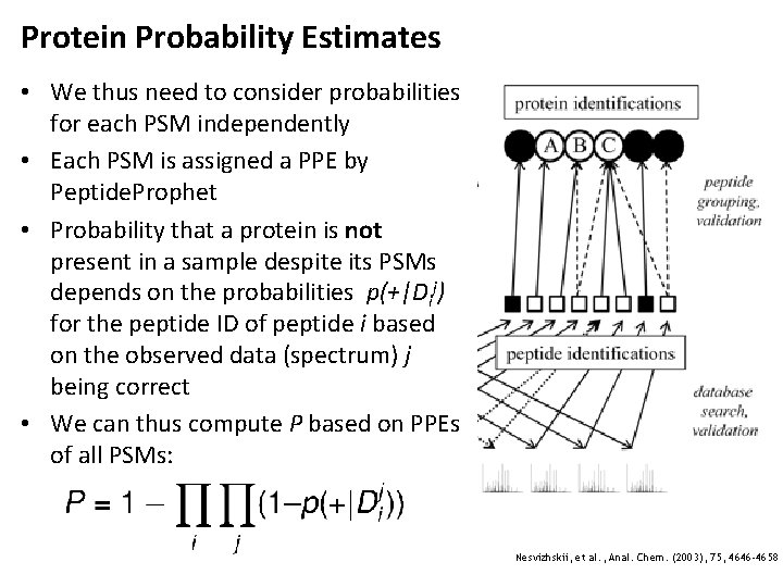 Protein Probability Estimates • We thus need to consider probabilities for each PSM independently