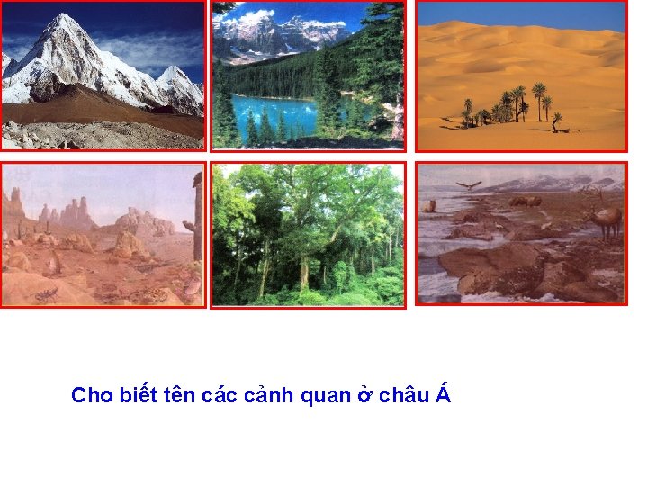 Cho biết tên các cảnh quan ở châu Á 