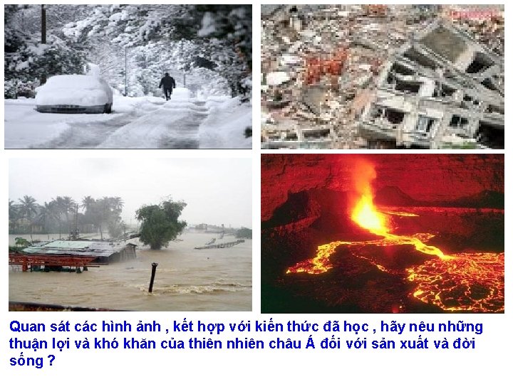 Quan sát các hình ảnh , kết hợp với kiến thức đã học ,
