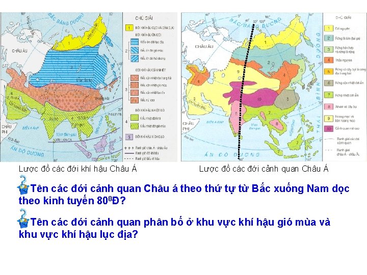 Lược đồ các đới khí hậu Châu Á Lược đồ các đới cảnh quan