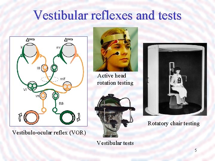 Vestibular reflexes and tests Active head rotation testing Rotatory chair testing Vestibulo-ocular reflex (VOR)