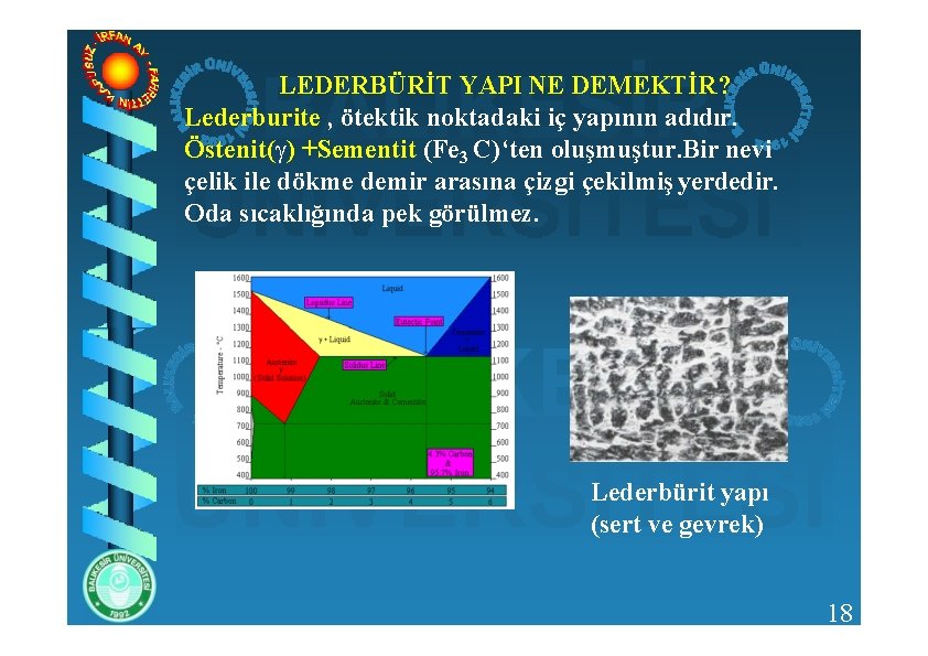 LEDERBÜRİT YAPI NE DEMEKTİR? Lederburite , ötektik noktadaki iç yapının adıdır. Östenit( ) +Sementit