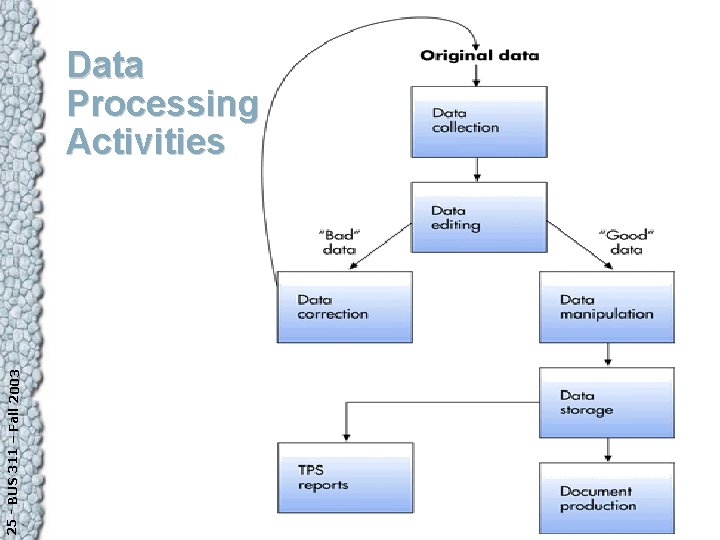 25 - BUS 311 – Fall 2003 Data Processing Activities 