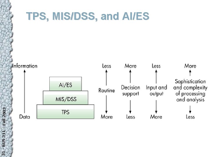 31 - BUS 311 – Fall 2003 TPS, MIS/DSS, and AI/ES 