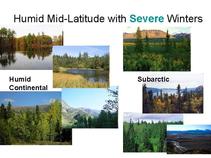 Humid Mid-Latitude with Severe Winters Humid Continental Subarctic 