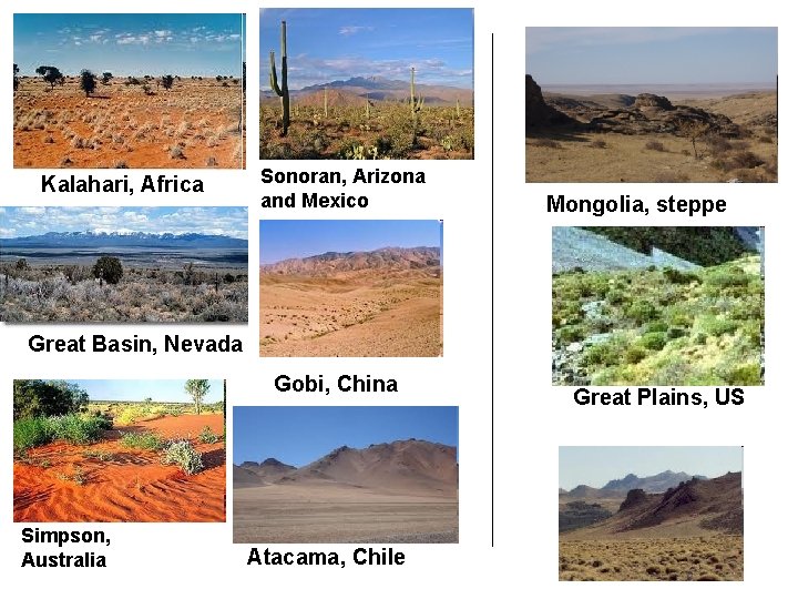 Kalahari, Africa Sonoran, Arizona and Mexico Mongolia, steppe Great Basin, Nevada Gobi, China Simpson,