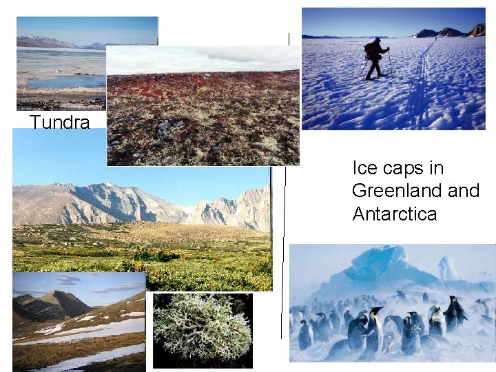 Tundra Ice caps in Greenland Antarctica 