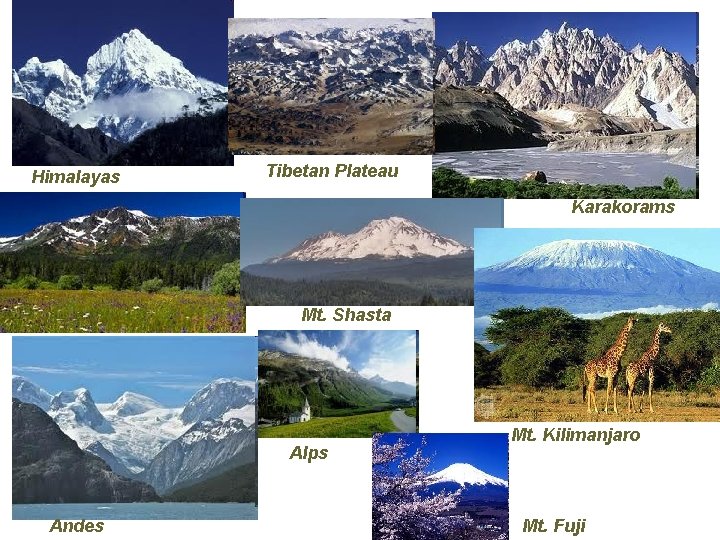 Himalayas Tibetan Plateau Karakorams Mt. Shasta Alps Andes Mt. Kilimanjaro Mt. Fuji 