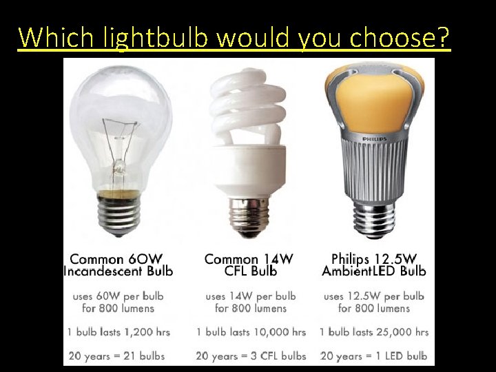 Which lightbulb would you choose? 