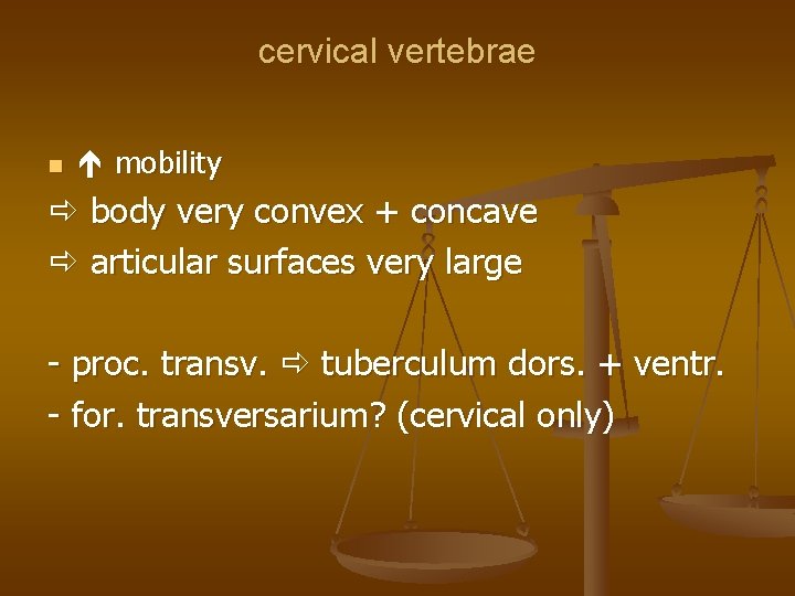 cervical vertebrae mobility body very convex + concave articular surfaces very large - proc.