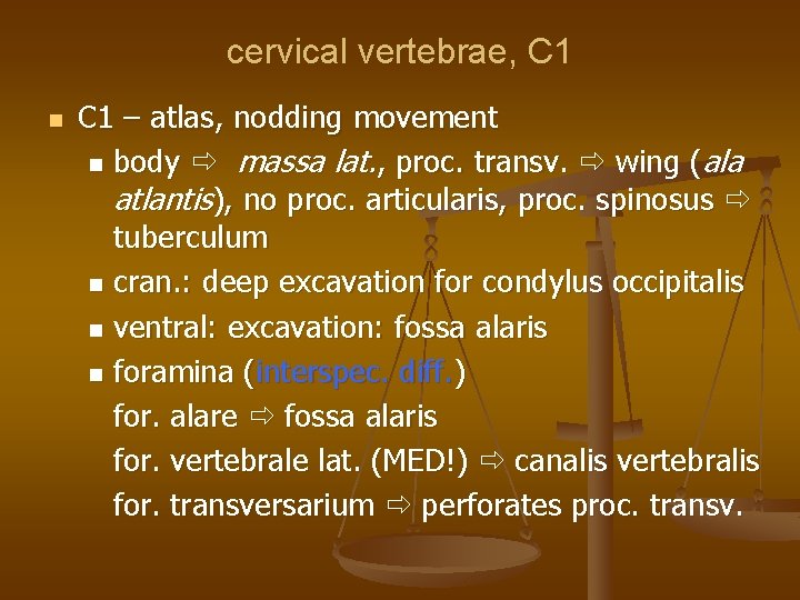cervical vertebrae, C 1 – atlas, nodding movement body massa lat. , proc. transv.