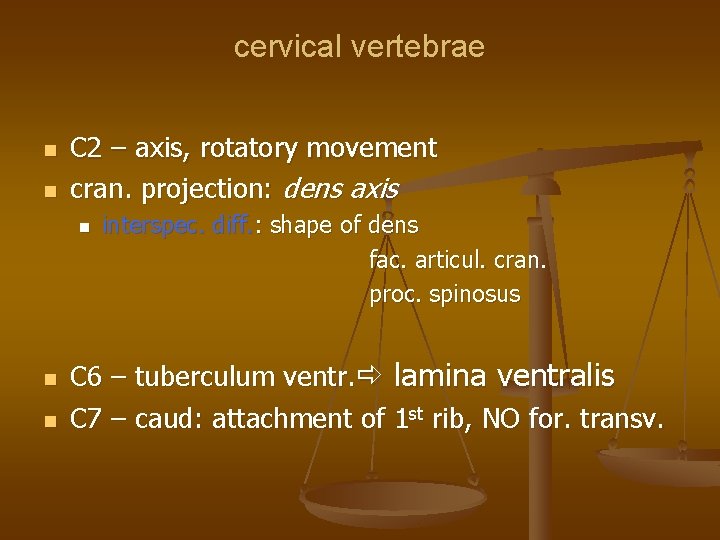 cervical vertebrae C 2 – axis, rotatory movement cran. projection: dens axis interspec. diff.
