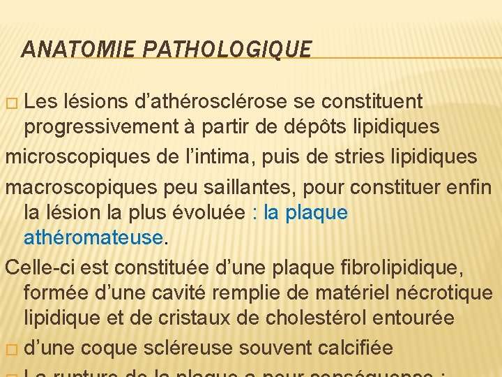 ANATOMIE PATHOLOGIQUE � Les lésions d’athérosclérose se constituent progressivement à partir de dépôts lipidiques