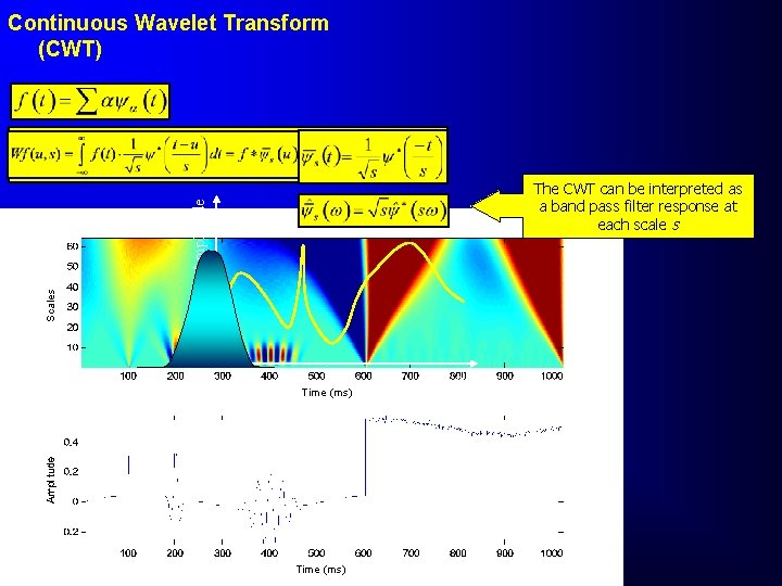 Continuous Wavelet Transform (CWT) Scales Amplitude The CWT can be interpreted as a band