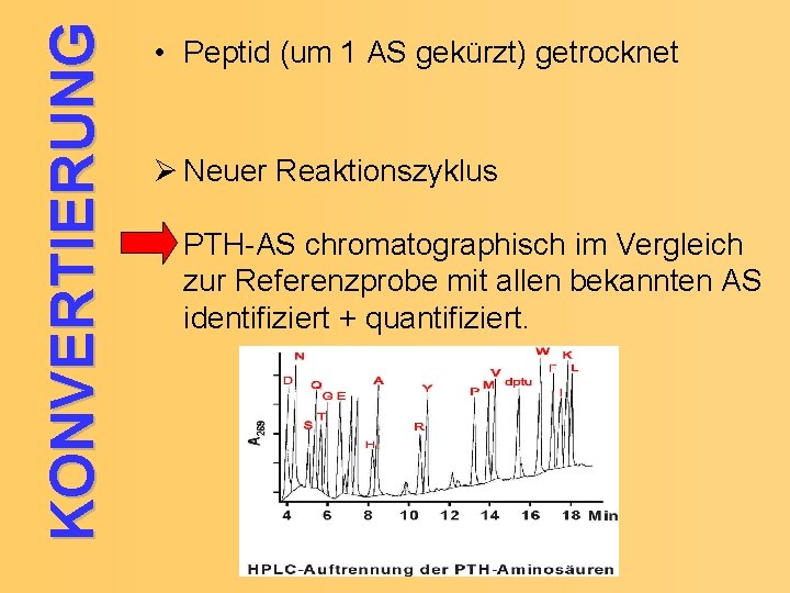 KONVERTIERUNG • Peptid (um 1 AS gekürzt) getrocknet Ø Neuer Reaktionszyklus PTH-AS chromatographisch im