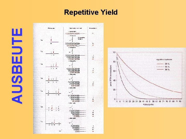 AUSBEUTE Repetitive Yield 