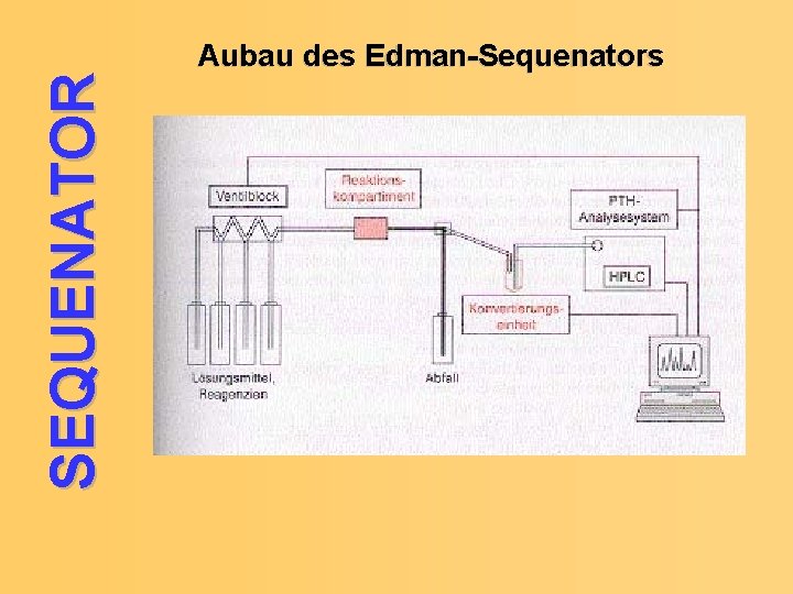 SEQUENATOR Aubau des Edman-Sequenators 