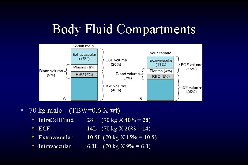 Body Fluid Compartments • 70 kg male (TBW=0. 6 X wt) • • Intra.
