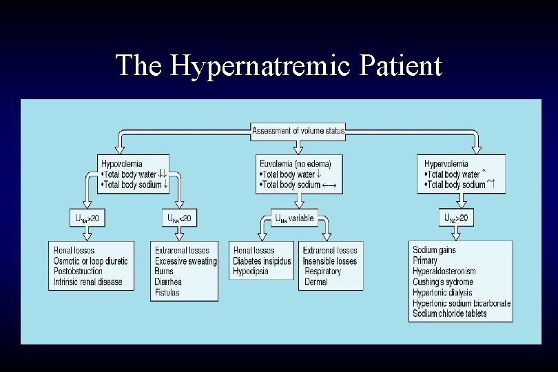 The Hypernatremic Patient 
