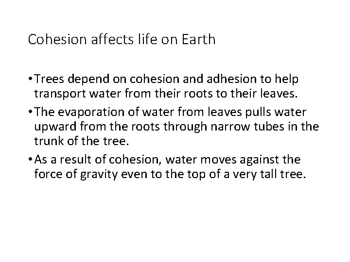 Cohesion affects life on Earth • Trees depend on cohesion and adhesion to help