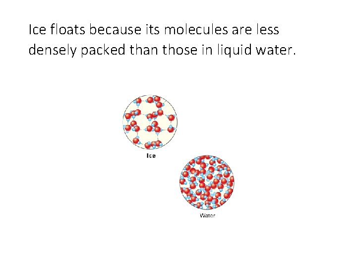 Ice floats because its molecules are less densely packed than those in liquid water.